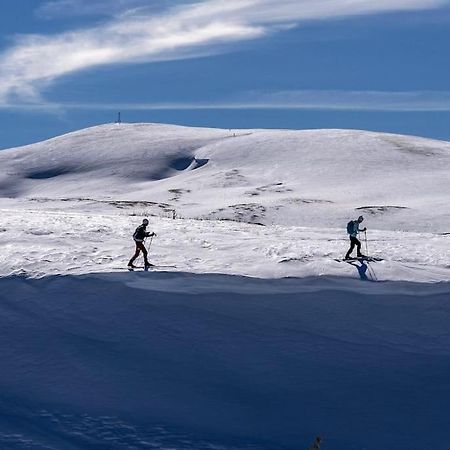 Studio Chaleureux Au Depart Des Sentiers Et Pistes De Ski Lajoux Esterno foto