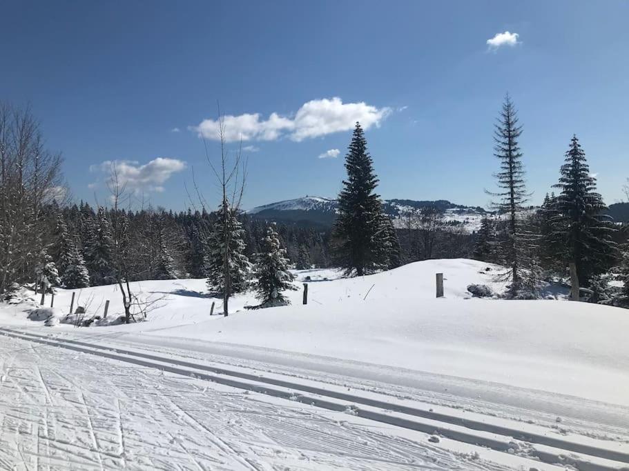 Studio Chaleureux Au Depart Des Sentiers Et Pistes De Ski Lajoux Esterno foto