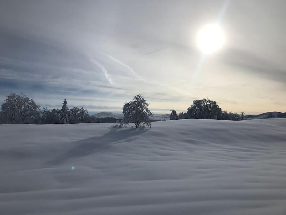 Studio Chaleureux Au Depart Des Sentiers Et Pistes De Ski Lajoux Esterno foto