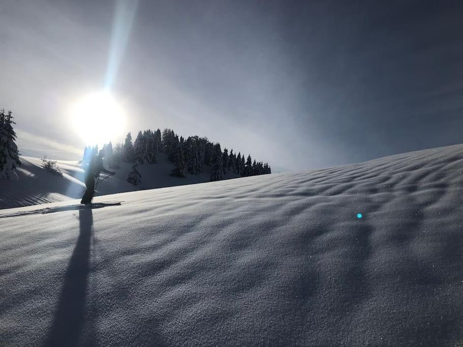 Studio Chaleureux Au Depart Des Sentiers Et Pistes De Ski Lajoux Esterno foto