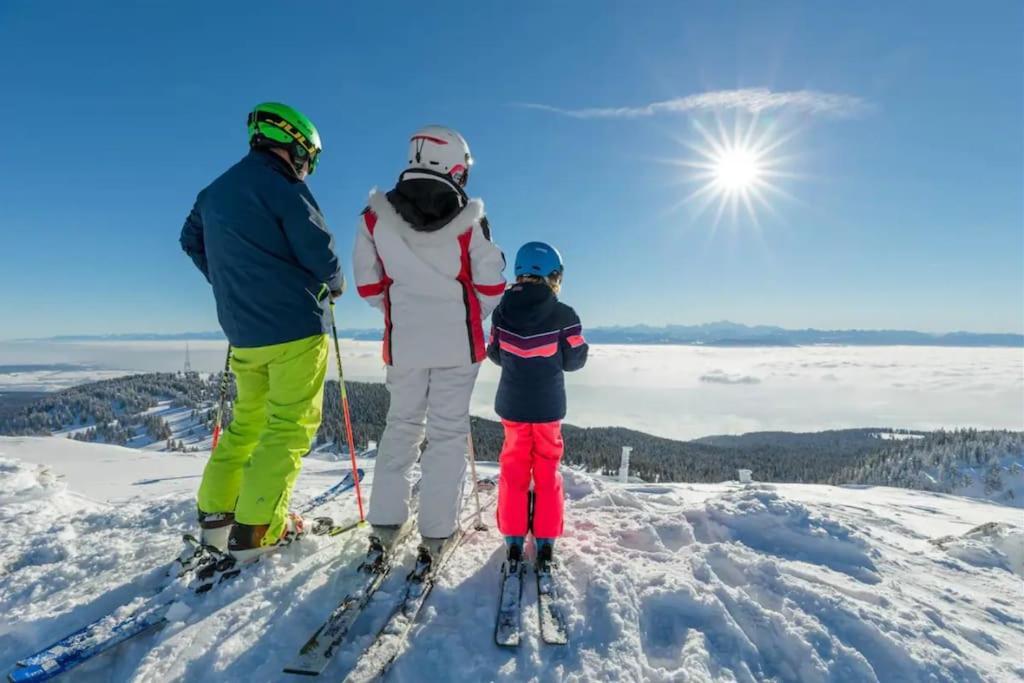 Studio Chaleureux Au Depart Des Sentiers Et Pistes De Ski Lajoux Esterno foto