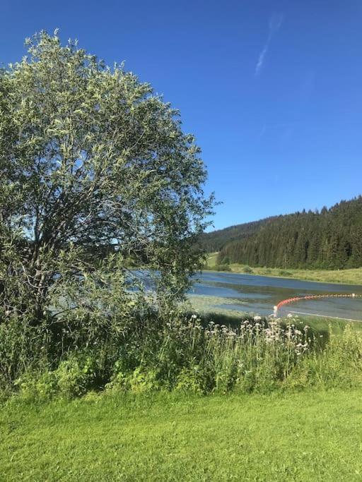 Studio Chaleureux Au Depart Des Sentiers Et Pistes De Ski Lajoux Esterno foto