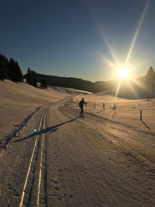 Studio Chaleureux Au Depart Des Sentiers Et Pistes De Ski Lajoux Esterno foto