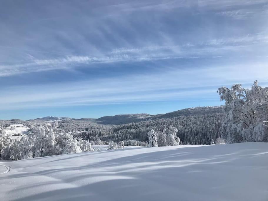 Studio Chaleureux Au Depart Des Sentiers Et Pistes De Ski Lajoux Esterno foto
