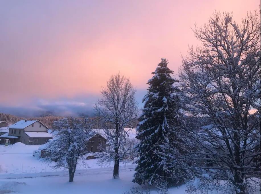 Studio Chaleureux Au Depart Des Sentiers Et Pistes De Ski Lajoux Esterno foto